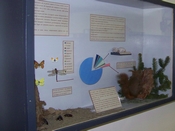 MUSEO DI SCIENZE (click to enlarge)